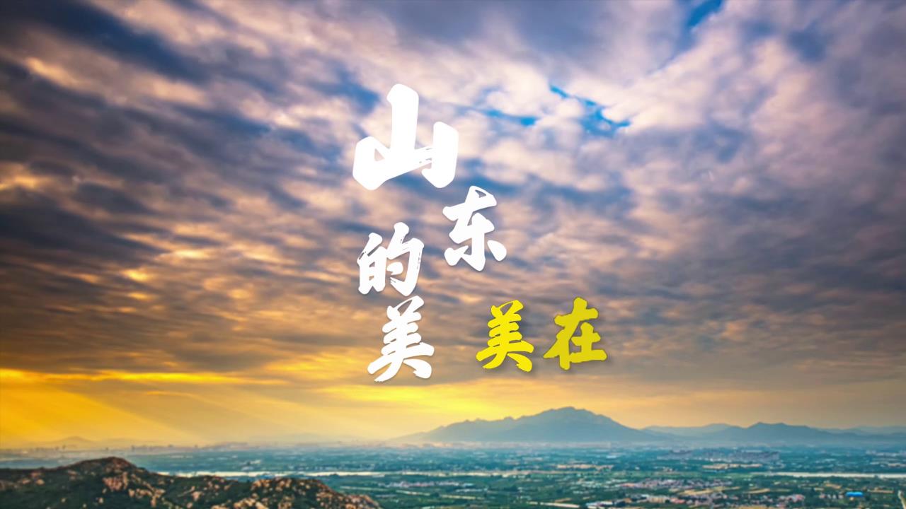 2023山东省旅游发展大会 省长向全球诗意推介，山东的美，美在......[00-00-10][20230328-090244118].jpg